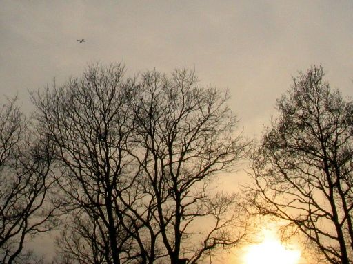 Vliegtuig boven gp 2 (Foto: Dick Waanders)