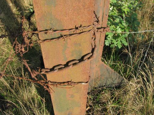 Hek langs de Grensweg (Foto: Dick Waanders)