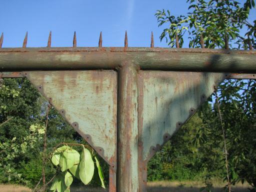 Hek langs de Grensweg (Foto: Dick Waanders)