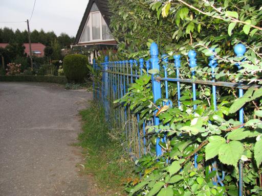 Blauw hek (Foto: Dick Waanders)