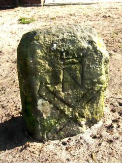 Gp 117 Nederlandse kant
