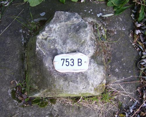 Gp 753-B (Foto: Maria Beening)