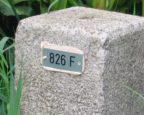 Gp 826-F (Foto: Dick Waanders)