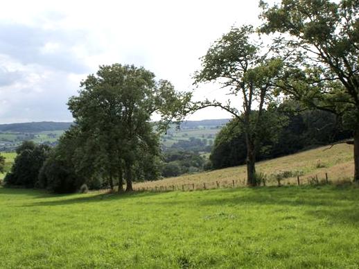 De Grensbomen (Foto: Hans Hermans)
