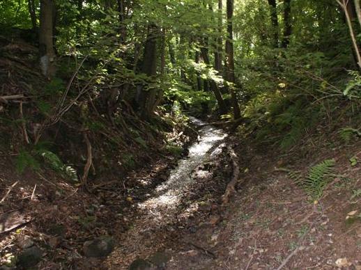Grensbeek (Foto: Hans Hermans)
