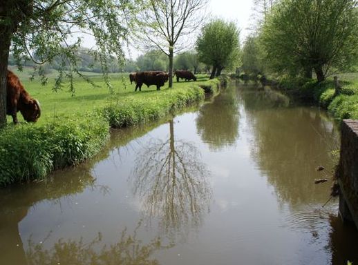 De Geul (Foto: Hans Hermans)
