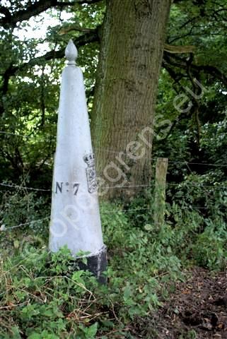 Gp 7 Nederland-Belgie (Foto: Hans Hermans)