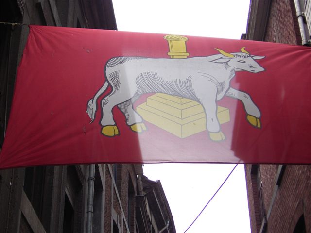Luikse stier (Foto: Hans Hermans)