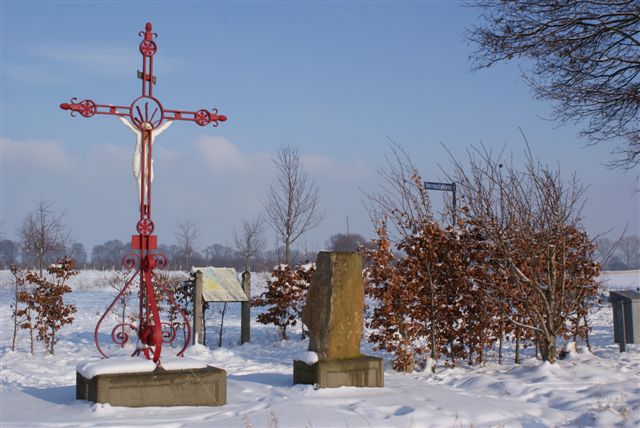 Drieherensteen in de winter (Foto: Hans Hermans) 