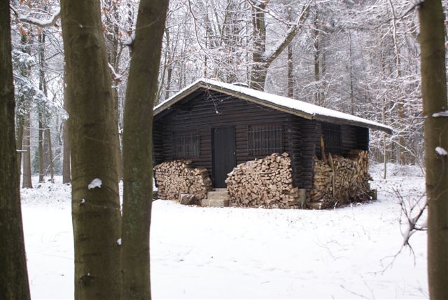 Boshut (Foto: Hans Hermans)