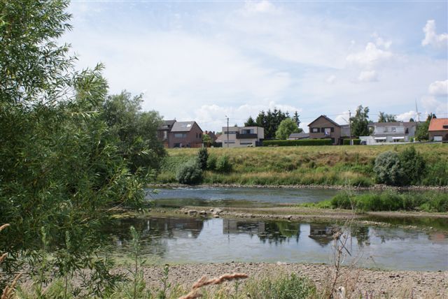 Lage waterstand tussen Borgharen en Smeermaas