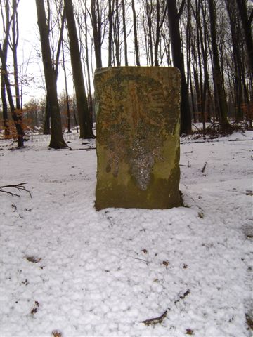 Adelaarsteen 14