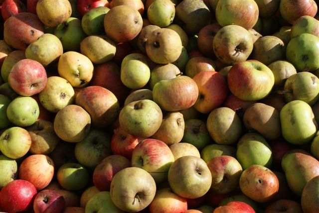 Kist met zure appels (Foto: Hans Hermans)