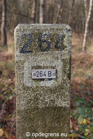 Paalsteen (Foto: Hans Hermans)