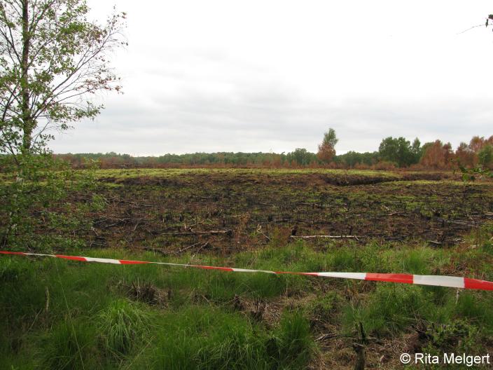 Afgezet gebied (Foto: Rita Melgert)