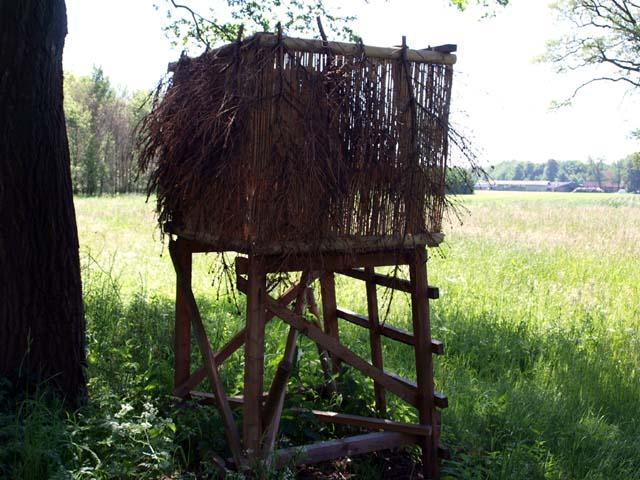 (Foto: Aafke de Wijk)