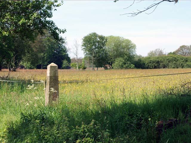 (Foto: Aafke de Wijk)