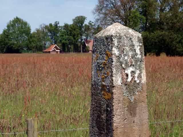 (Foto: Aafke de Wijk)
