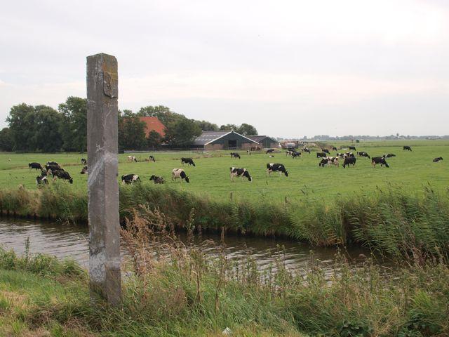 (Foto: Aafke de Wijk)