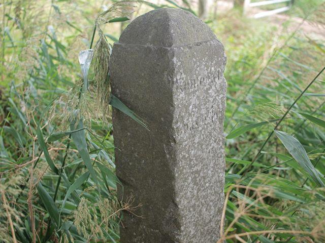 (Foto: Aafke de Wijk)