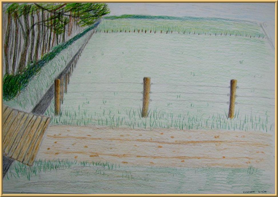 Vlonder en slootje (Rita Melgert)