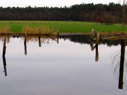 Bocht in het pad (Foto: Dick Waanders)