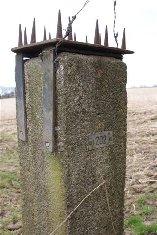 202 (Foto: Hans Hermans)
