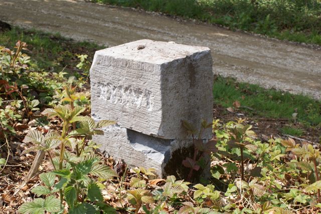 NM 36 (Foto: Hans Hermans)