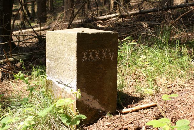 NM 45 (Foto: Hans Hermans)