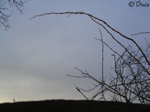 De steen en de lucht (Foto Dick Waanders)