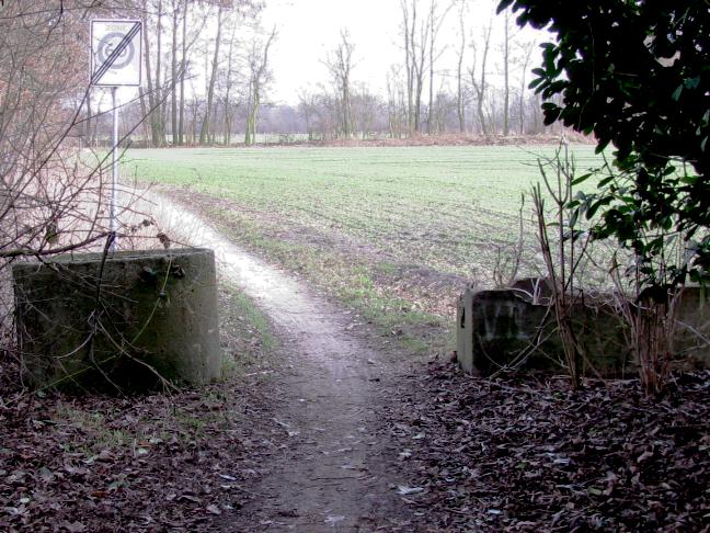 Fietspad (Foto: Dick Waanders)