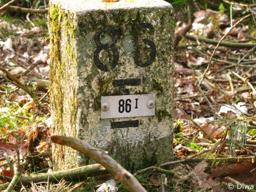 Gp 86-I groot (Foto: Dick Waanders)