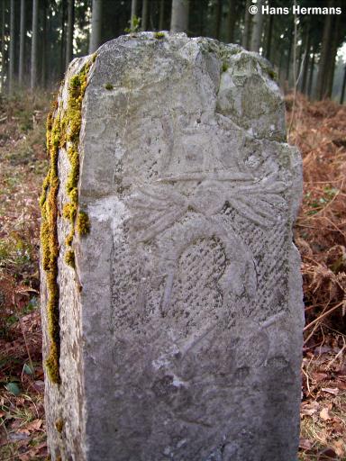 Gulden Vlies (Foto: Hans Hermans)