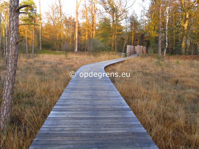 (Foto: Dick Waanders)